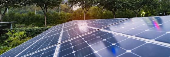 Photovoltaik – die Technologie der Wahl bei der Gensetter Topfpflanzen AG