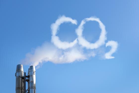 Die Gewächshäuser werden ohne CO2-Emissionen über Fernwärme beheizt