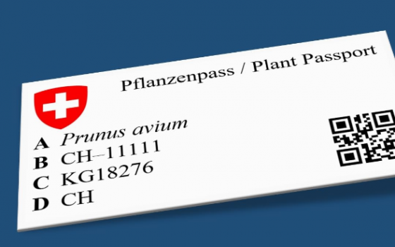 Der Pflanzenpass hat gewisse Formvorschriften zu erfüllen. In der Schweiz wird er ab dem 1. Januar 2020 so oder ähnlich an den meisten Pflanzen zu sehen sein.
